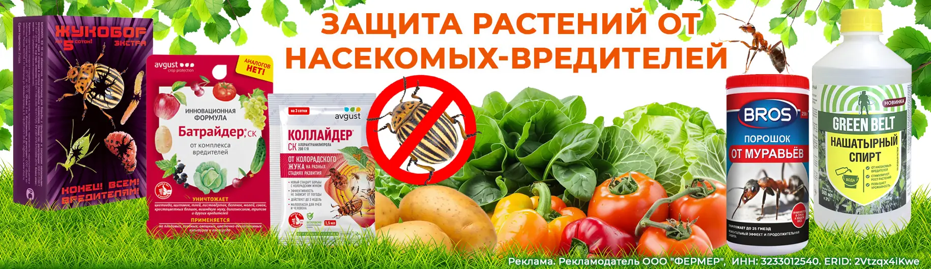 Баннер: Защита растений от насекомых-вредителей в июне
